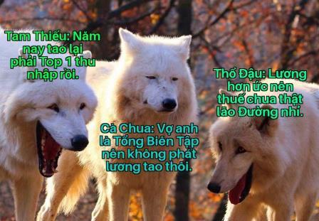 Làm sao gả cho tác giả?