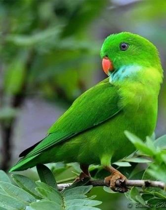 Tổ hợp tấu hài cực mạnh trong tiểu thuyết Ngã Dục Phong Thiên!