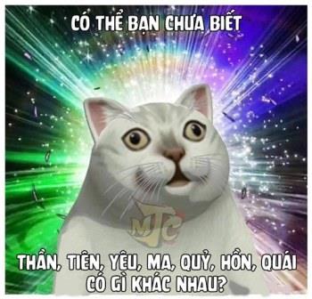 THẦN, HỒN, YÊU, MA, QUỶ, QUÁI, TINH, LINH CÓ GÌ KHÁC NHAU?