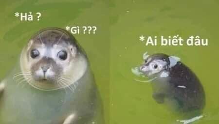 Đế thần thông giám