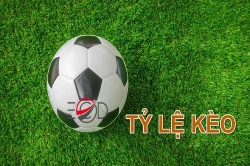 Tỷ lệ kèo online 7M - Hướng dẫn xem kèo chuẩn chỉnh