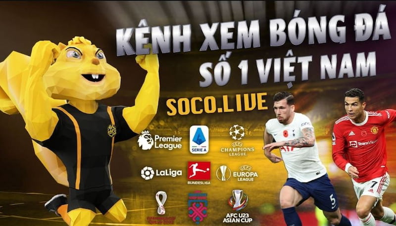 Socolive - Nơi Đáp Ứng Mọi Yêu Cầu của Người Hâm Mộ Bóng Đá