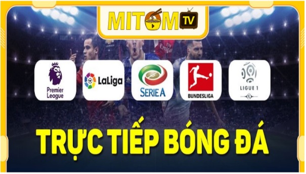 Mitom - Xem bóng đá trực tuyến kiếm tiền cực đã