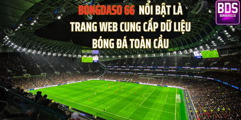 Bongdaso - Cập Nhật Tỷ Số, Lịch Thi Đấu Nhanh Chóng, Chính Xác
