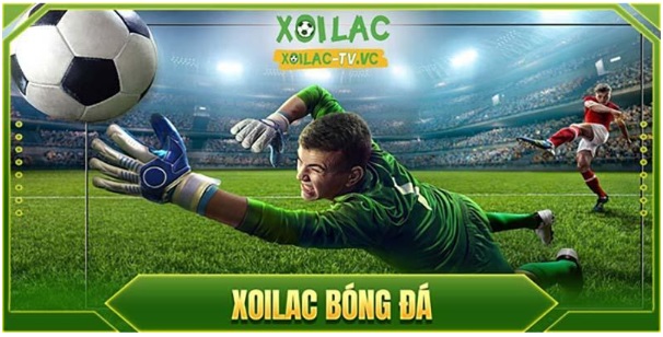 Khám Phá Thế Giới Xôi Lạc TV - Nơi Giải Trí Và Tri Thức Hoà Quyện