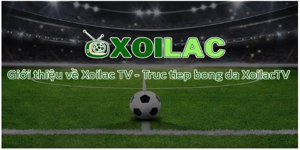 Trải nghiệm Xoilac TV trên xoilac-tivi.ink: Sự lựa chọn hoàn hảo cho fan bóng đá