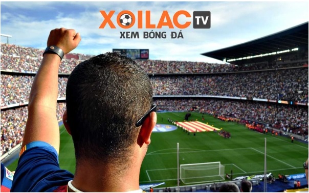 Xoilactv.art: Cùng Xoilac TV đồng hành cùng bóng đá thế giới