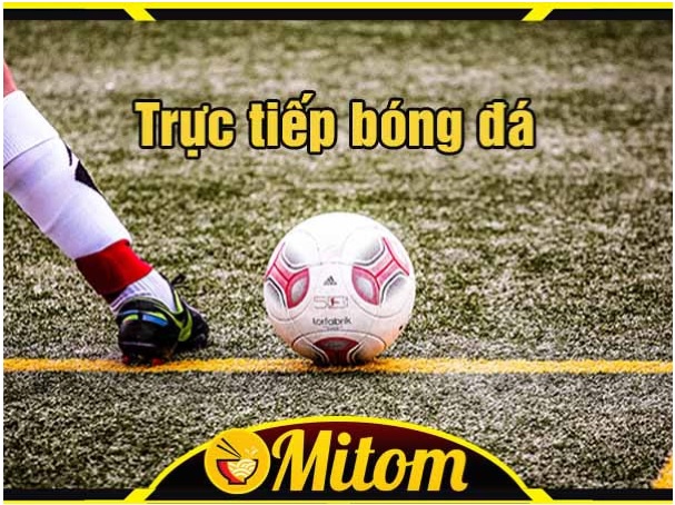 Mitom TV - Trang trực tiếp bóng đá miễn phí, nét căng như Sony