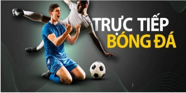 Cùng tructiepbongda.college khám phá thế giới trực tiếp bóng đá tuyệt vời nhất