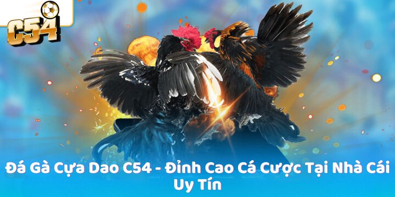 Đá Gà Cựa Dao C54 - Đỉnh Cao Cá Cược Tại Nhà Cái Uy Tín