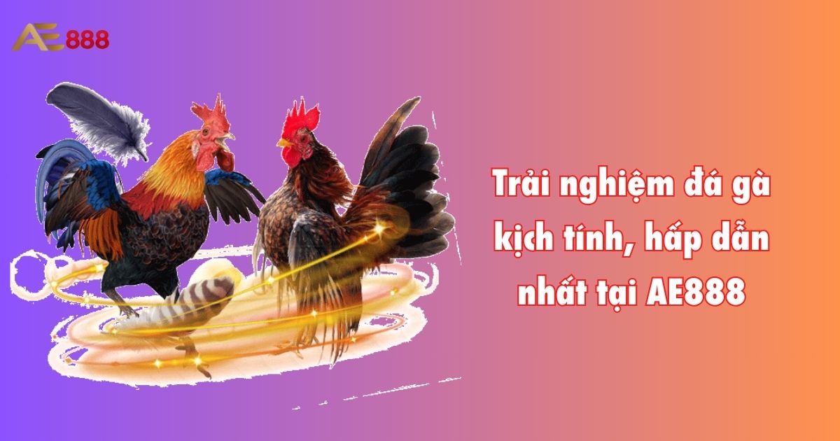 Trải Nghiệm Đá Gà Kịch Tính, Hấp Dẫn Nhất Tại AE888