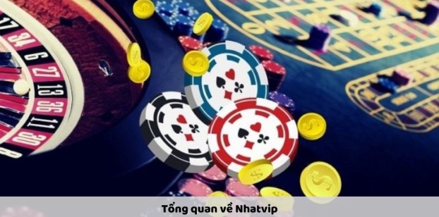 Nhatvip – Cổng Cược Trực Tuyến Uy Tín Và Hấp Dẫn Bạn Nên Thử