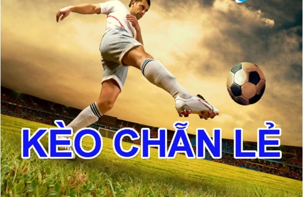 Kèo Chẵn Lẻ: Cách Phân Tích Hiệu Quả Tại Tỷ Lệ Cá Cược