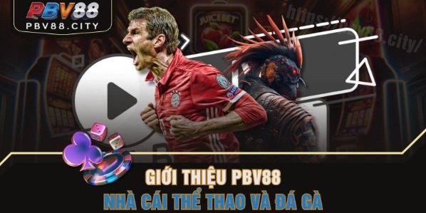 Hướng dẫn các bước đăng nhập PBV88 chỉ với thao tác đơn giản