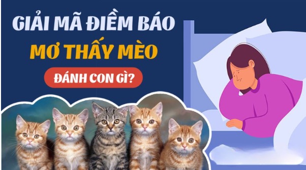 Giải Mã Ý Nghĩa Nằm Mơ Thấy Mèo Cắn Vào Tay Đánh Con Gì?