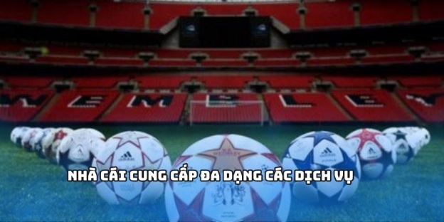 789club – Nhà Cái Cung Cấp Dịch Vụ Cá Cược Hàng Đầu