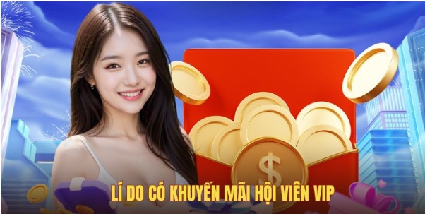 Khuyến Mãi Hội Viên VIP | Ưu Đãi Đặc Biệt Cho Thành Viên Cao Cấp