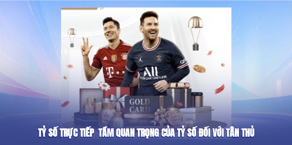Tỷ Số Trực Tiếp - Tầm Quan Trọng Của Tỷ Số Đối Với Tân Thủ