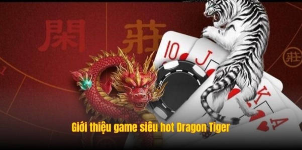 Dragon Tiger - Hướng Dẫn Cách Chơi Thành Thạo Tại Sunwin