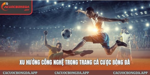 Trang Cá Cược Bóng Đá Với Các Giải Đấu Lớn Nhất 2026