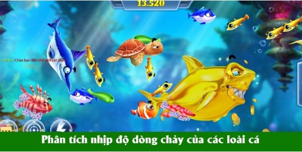 Bắn Cá Theo Thời Điểm - Chìa Khóa Chinh Phục Mọi Ngư Trường