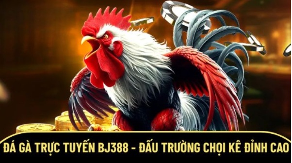 Nhà cái đá gà uy tín BJ3888 – Điểm đến an toàn và chất lượng