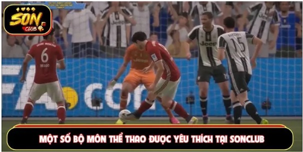 Thể thao Sonclub – Theo dõi đa dạng bộ môn cùng hệ thống kèo cược phong phú