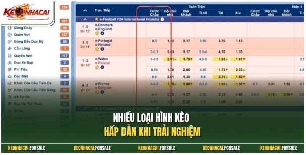 Kèo Nhà Cái 5 – Cách Đọc Tỷ Lệ Bóng Đá Hôm Nay Dễ Hiểu