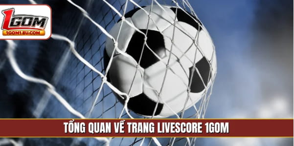 Trang Trực Tiếp Bóng Đá 1GOM Và Cách Theo Dõi Trận Đấu Thuận Tiện