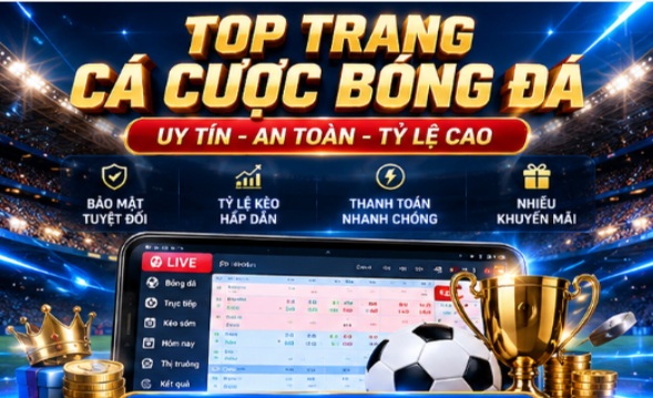 Trang Cá Độ Bóng Đá Và Cách So Sánh Các Nền Tảng Trước Khi Chọn