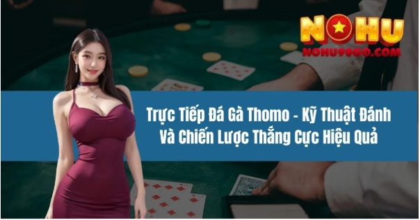 Trực Tiếp Đá Gà Thomo – Kinh Nghiệm Theo Dõi Và Những Điều Cần Lưu Ý