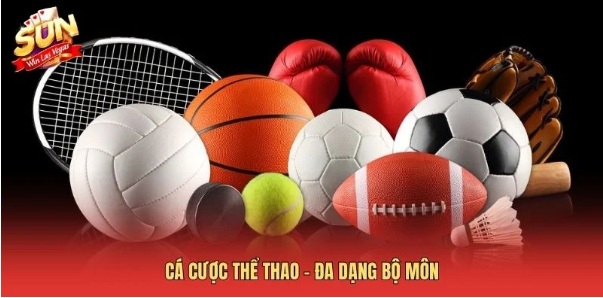 Thể thao Sunwin: Cách theo dõi thông tin và bảo vệ tài khoản