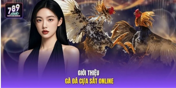 Đá gà 789club: Hướng dẫn đọc thông tin và quy tắc